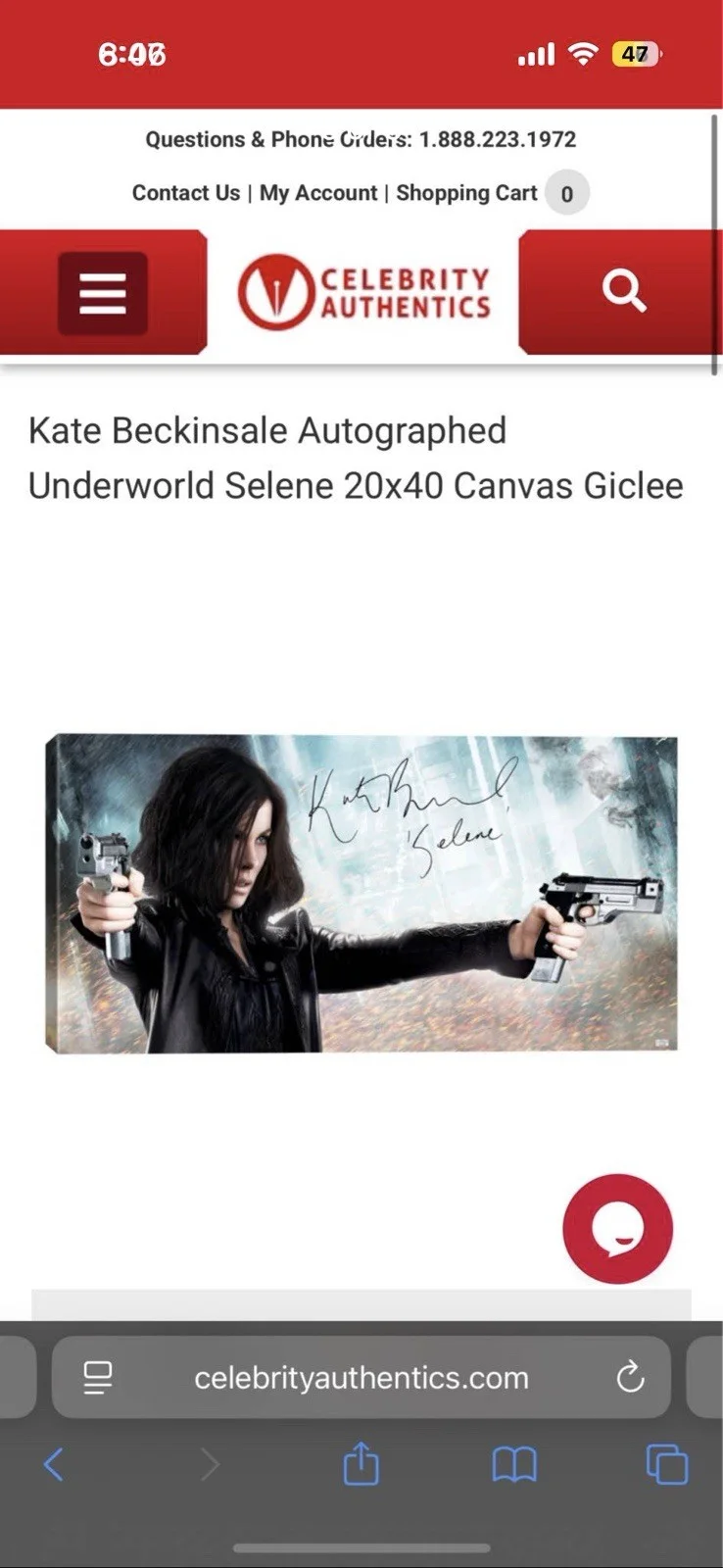 Kate Beckinsale — Kate Beckinsale Autographed Underworld 20x40 Canvas Celebrity Authentics Selene, image 4