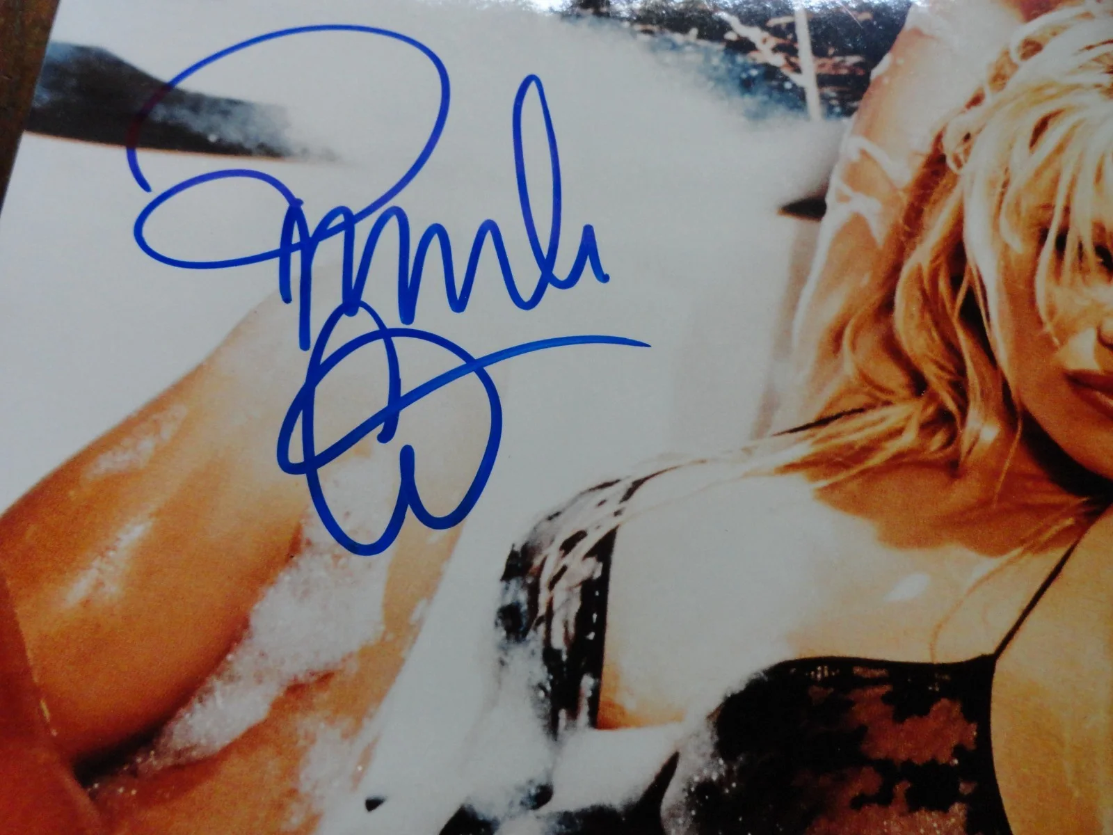 PAMELA ANDERSON SIGNED 8 X 10 PICTURE PHOTOGRAPH AUTOGRAPHED NO COA SEE PICTURES, изображение 2