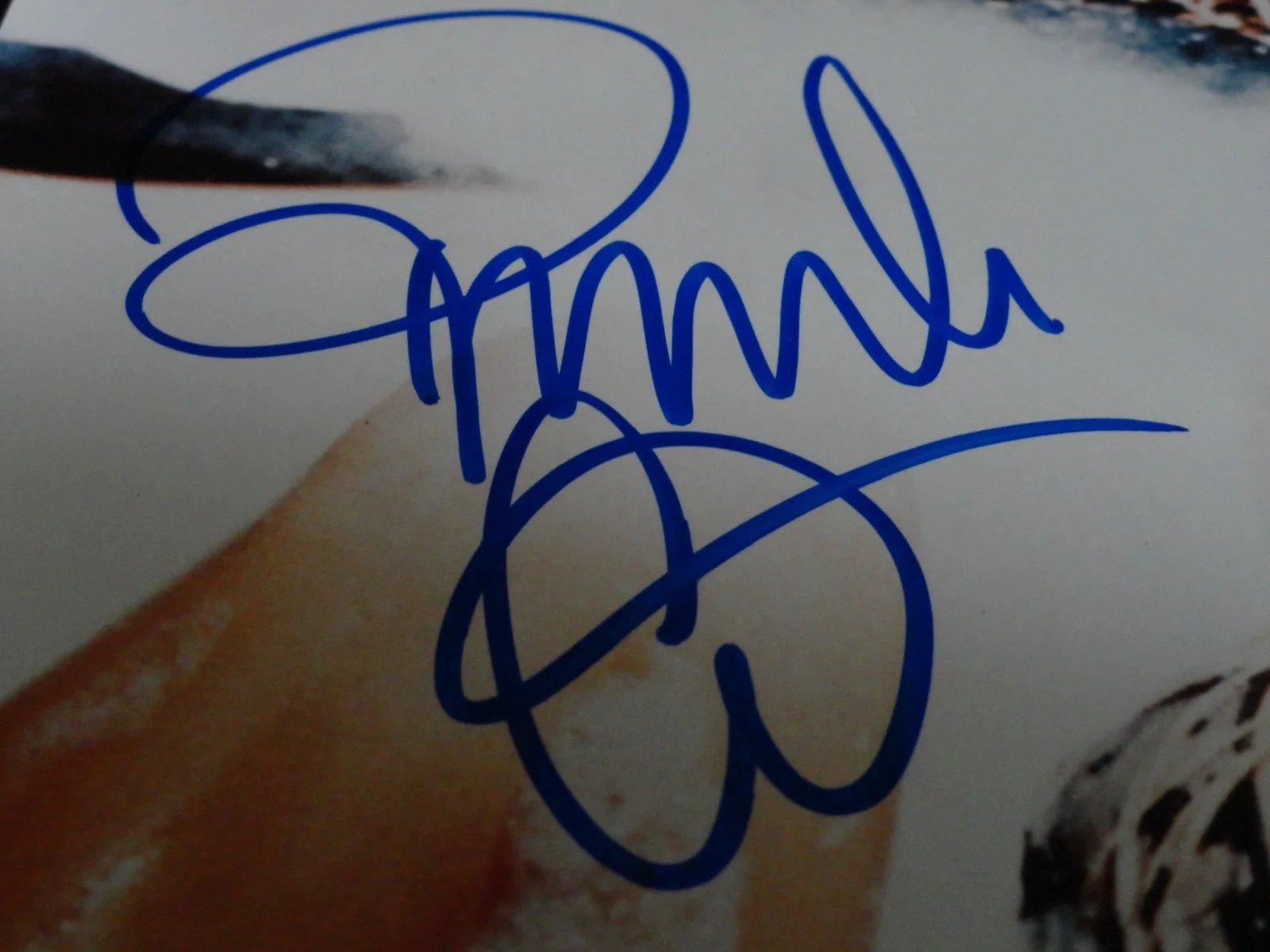 PAMELA ANDERSON SIGNED 8 X 10 PICTURE PHOTOGRAPH AUTOGRAPHED NO COA SEE PICTURES, изображение 5