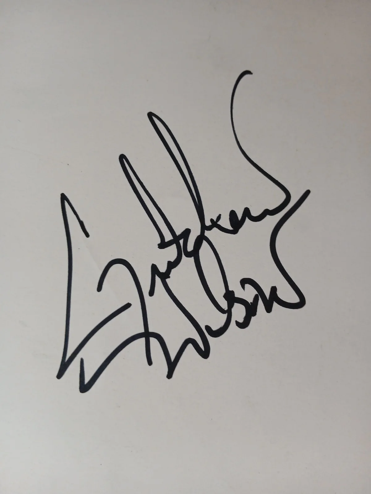 Gretchen Wilson Autographed Country Music Concert Poster Signed Concert Poster, изображение 4