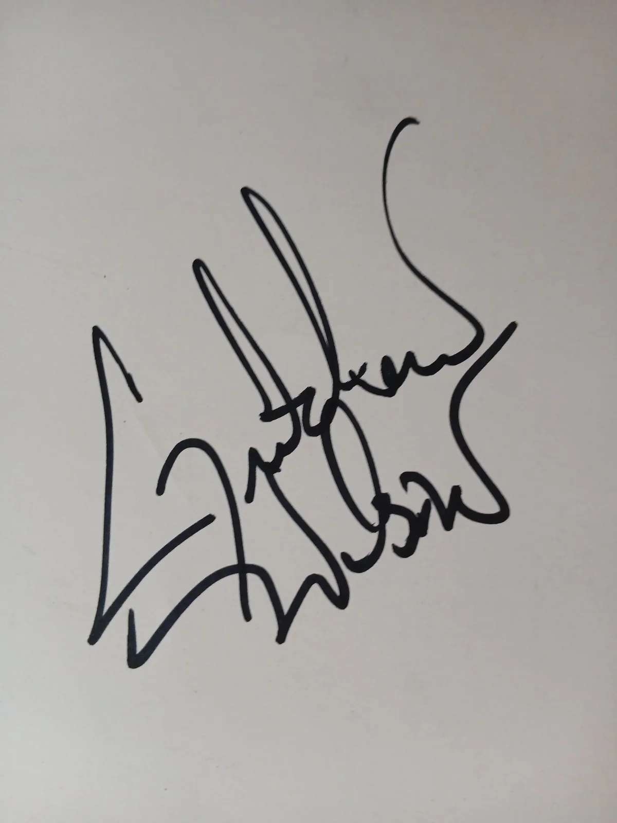Gretchen Wilson Autographed Country Music Concert Poster Signed Concert Poster, изображение 5