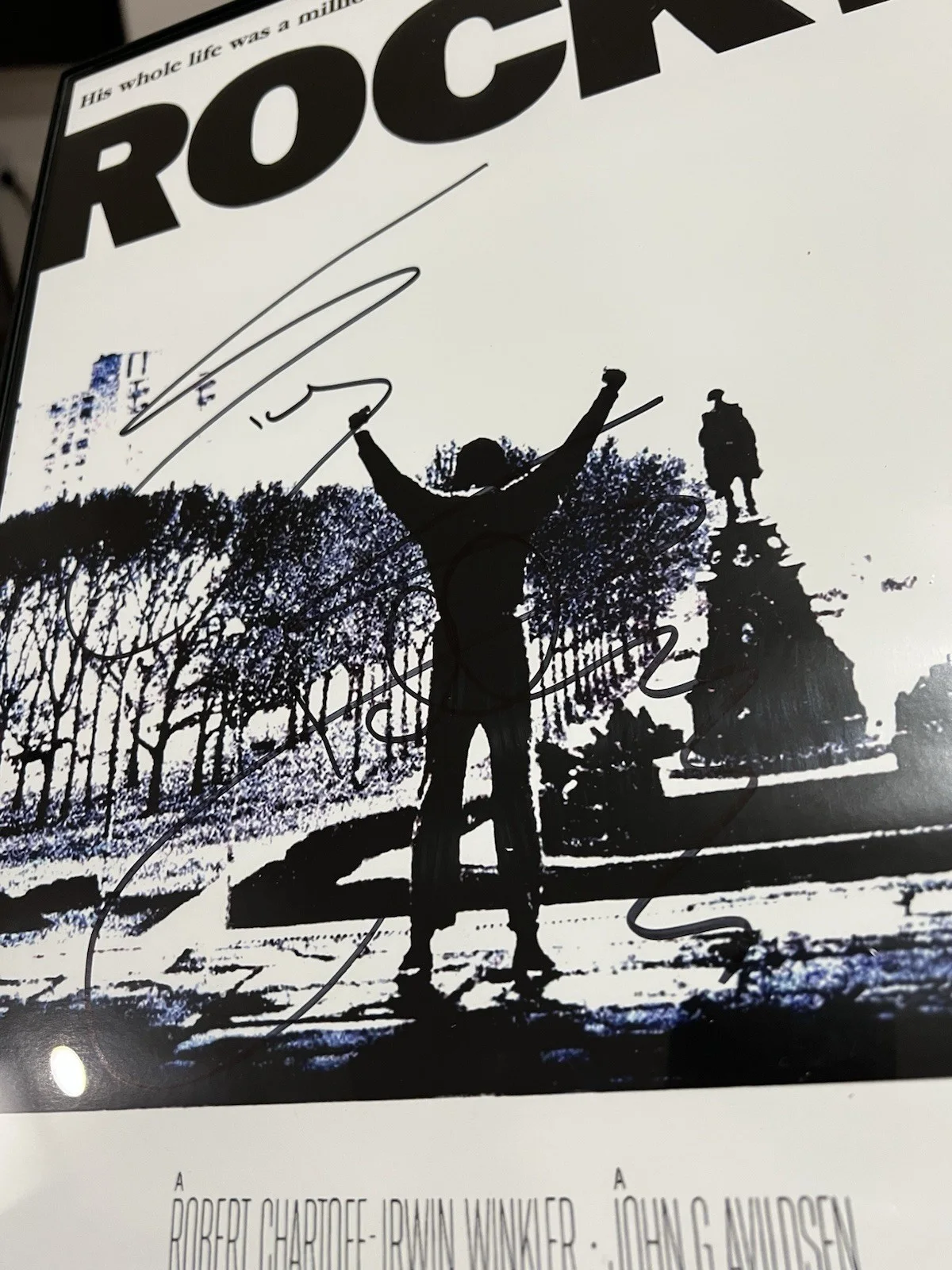 Rocky Poster Signed By Sylvester Stallone (Official Pix COA), image 3