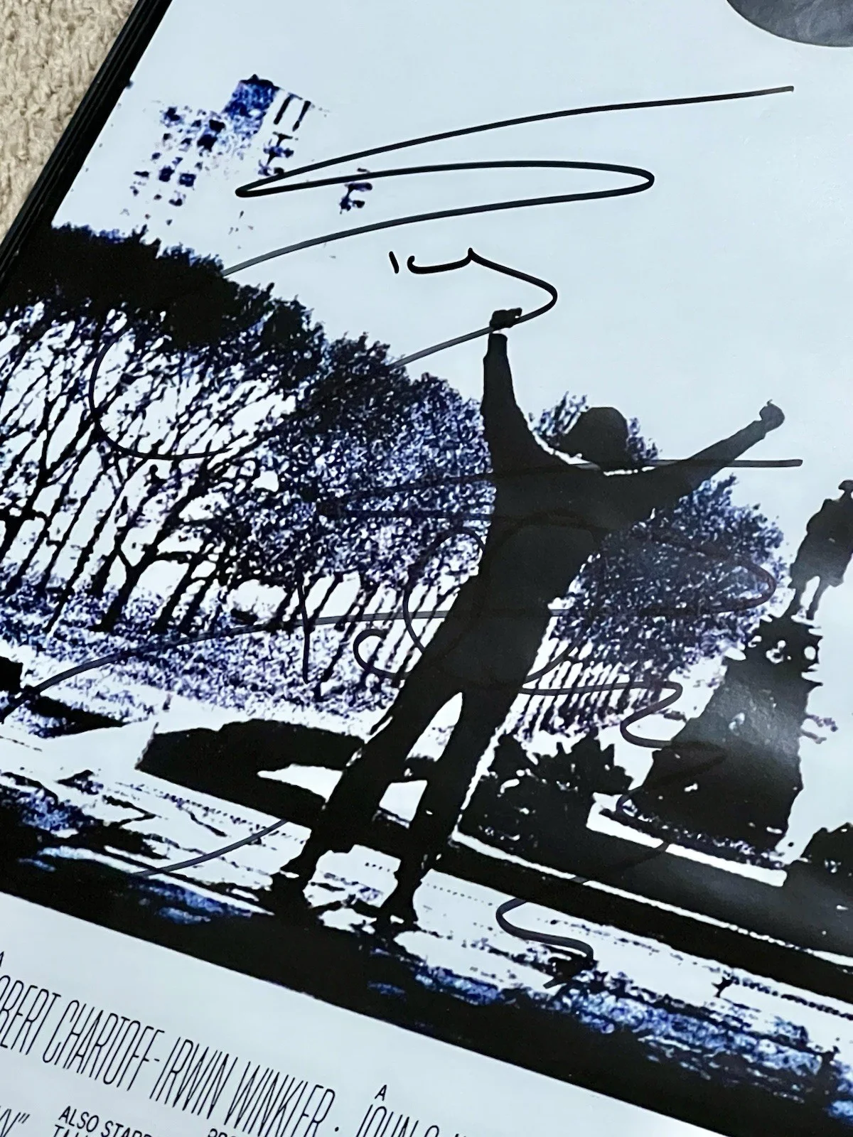 Rocky Poster Signed By Sylvester Stallone (Official Pix COA), image 5