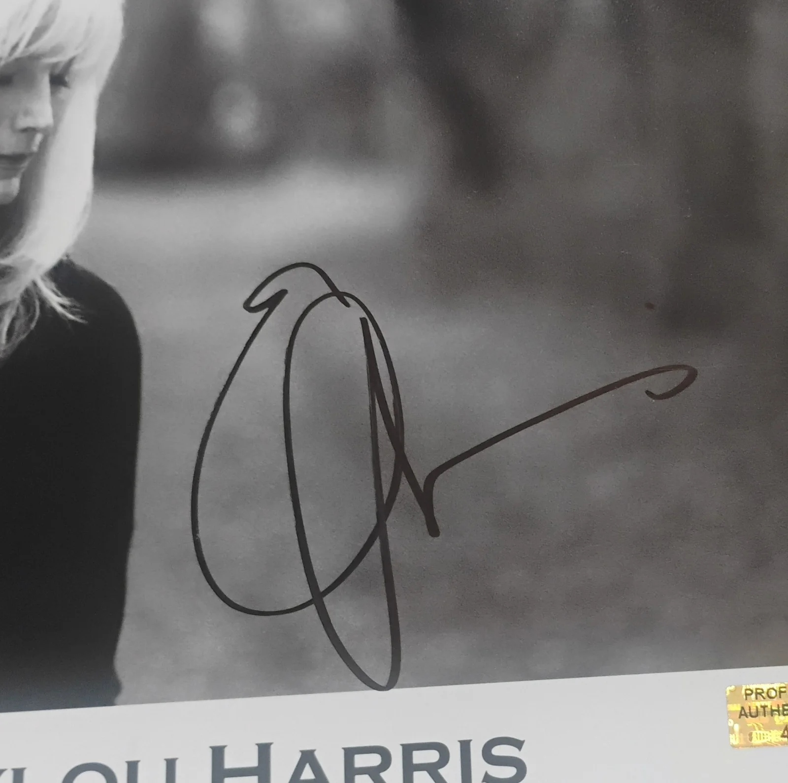 Emmylou Harris Hand Signed Autograph 8x10 Photo JSA COA - NO US TARIFFS, изображение 3