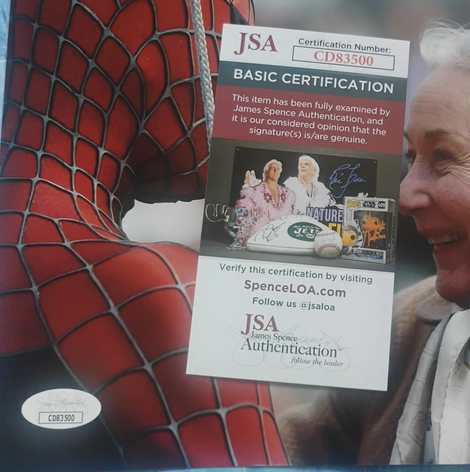 Rosemary Harris Hand Signed 8x10 Photo JSA COA Spiderman NO US TARIFFS, image 4