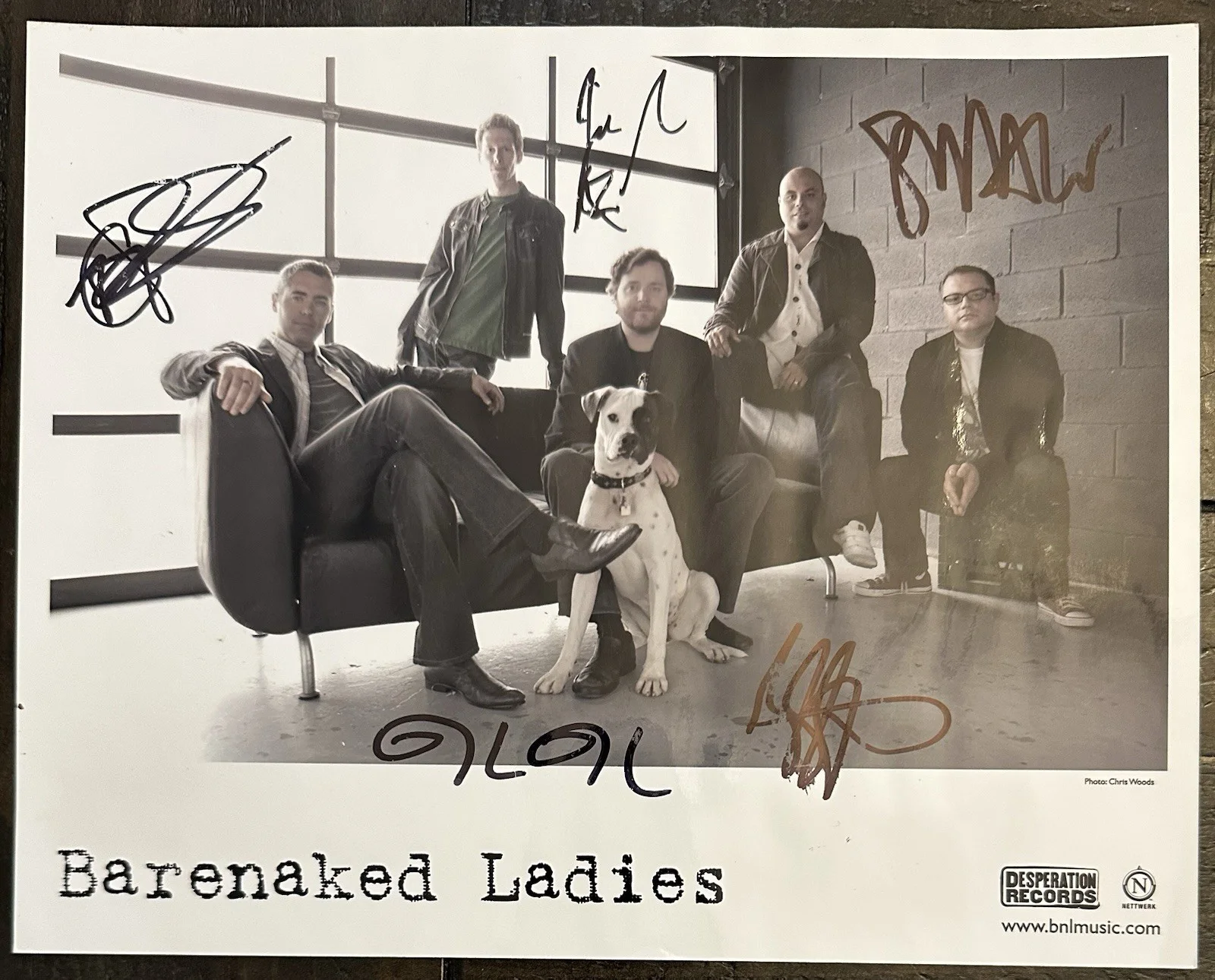 BARENAKED LADIES HAND SIGNED PROMO PHOTO, ALL 5 MEMBERS! CANADIAN HALL OF FAME!, изображение 3