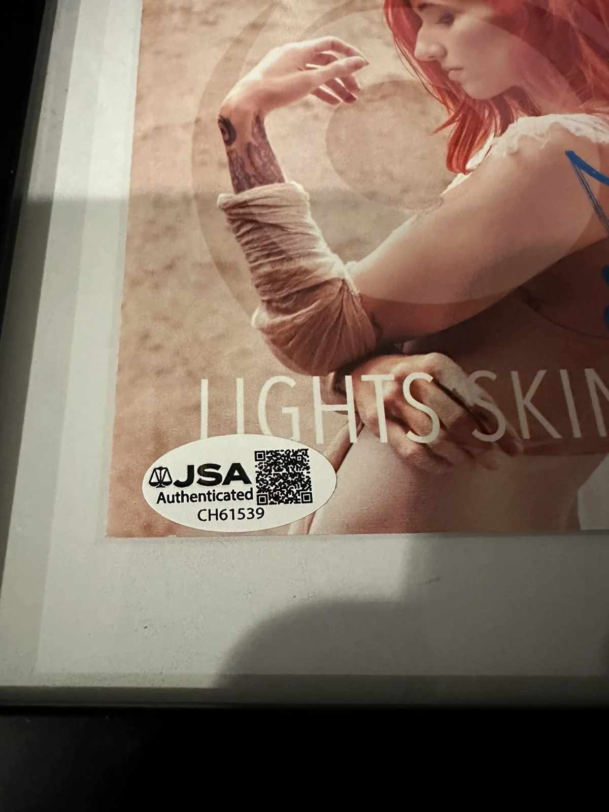 LIGHTS SIGNED FRAMED LIGHTS SKIN & EARTH SIGNED CD JSA COA AUTOGRAPHED SINGER, image 2