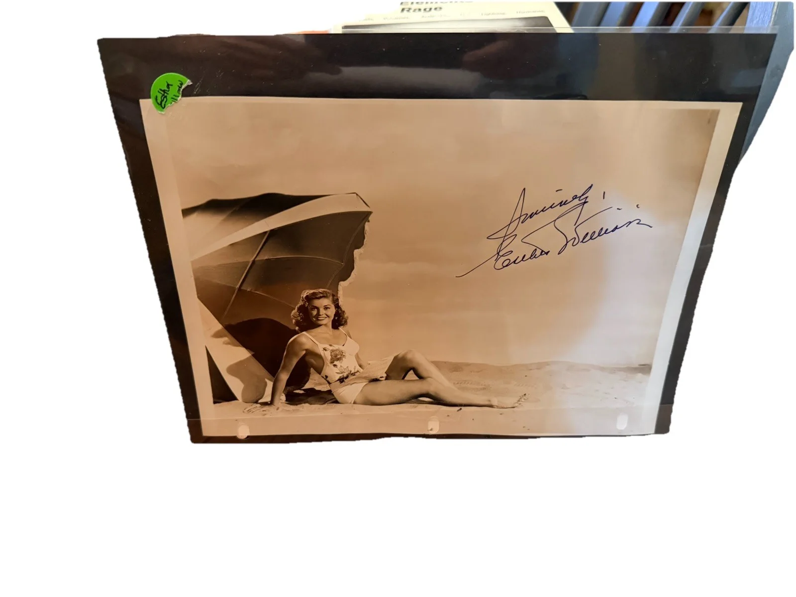 ESTHER WILLIAMS Signed Vintage 8x10 Beach Photo Original Autograph Swimming, image 4