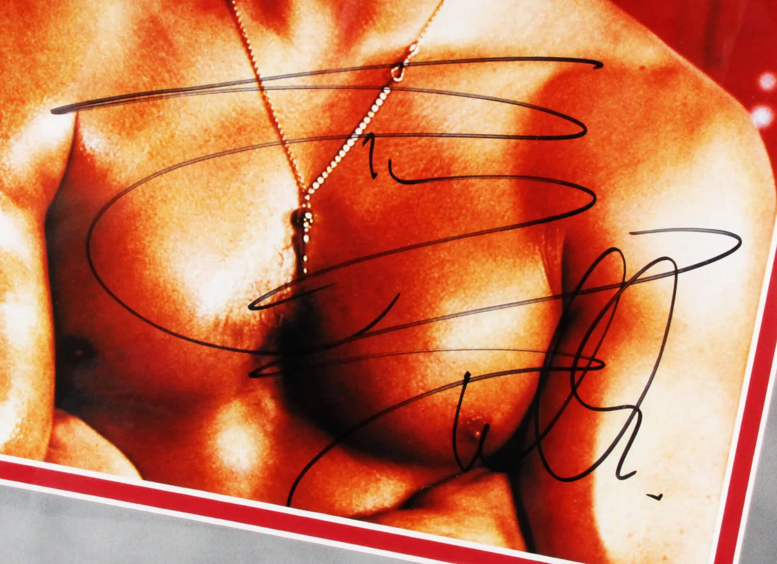 Rocky Signed Photo Sylvester Stallone- Shire Display COA JSA & PSA/DNA, изображение 3