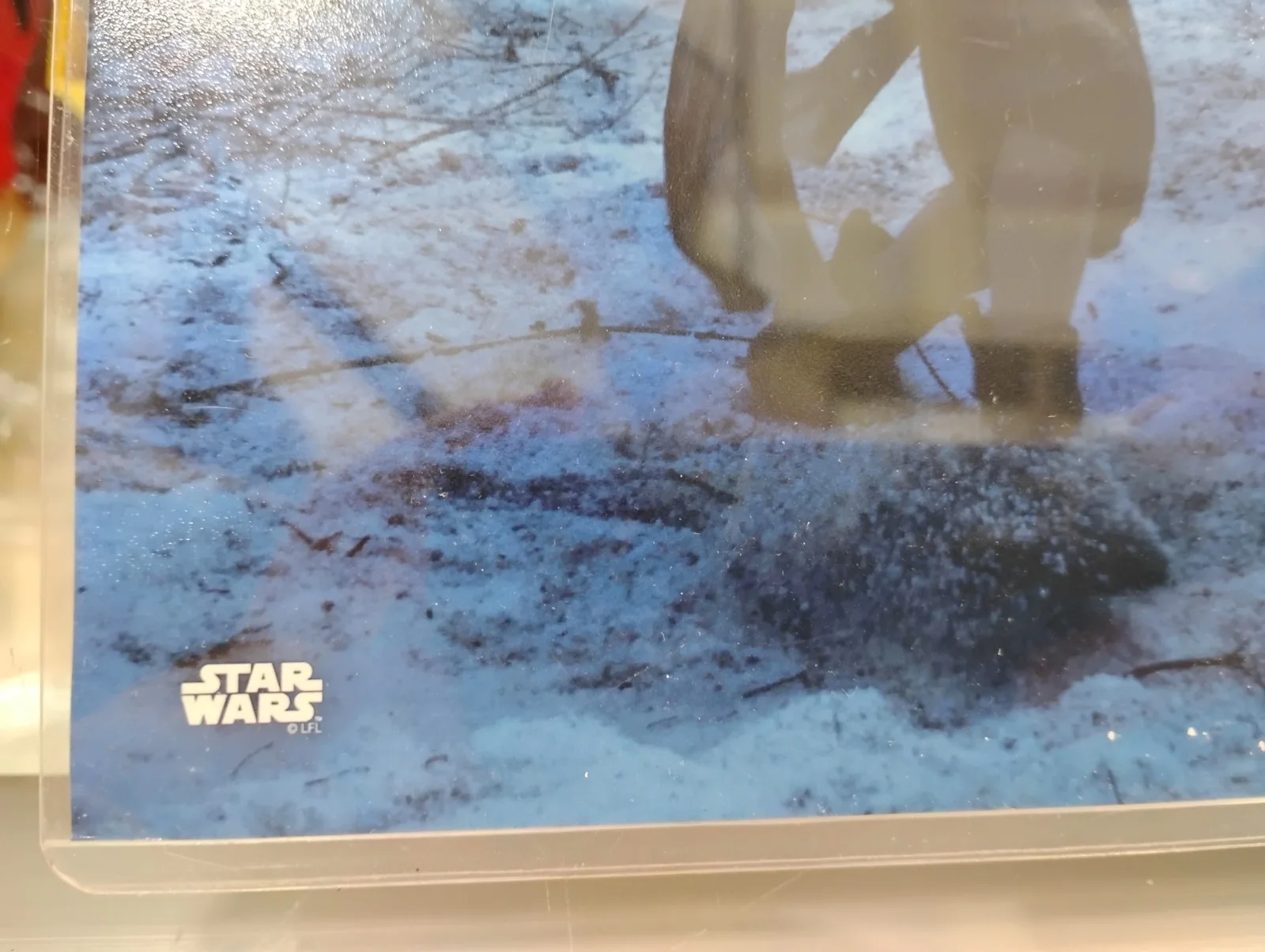 Daisy Ridley — Daisy Ridley Star Wars Topps Authentics 8x10 Autographed Signed Photo Bas cert, image 2