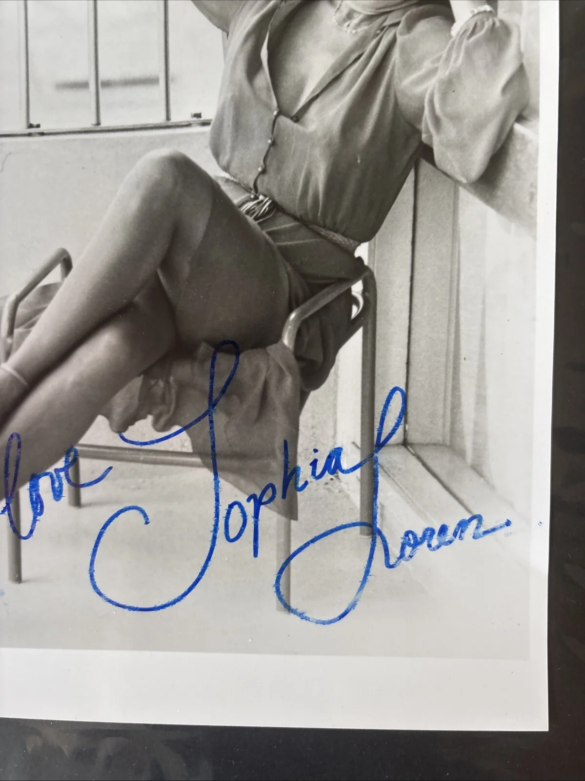 SOPHIA LOREN Autographed signed 8x10 photo, изображение 4