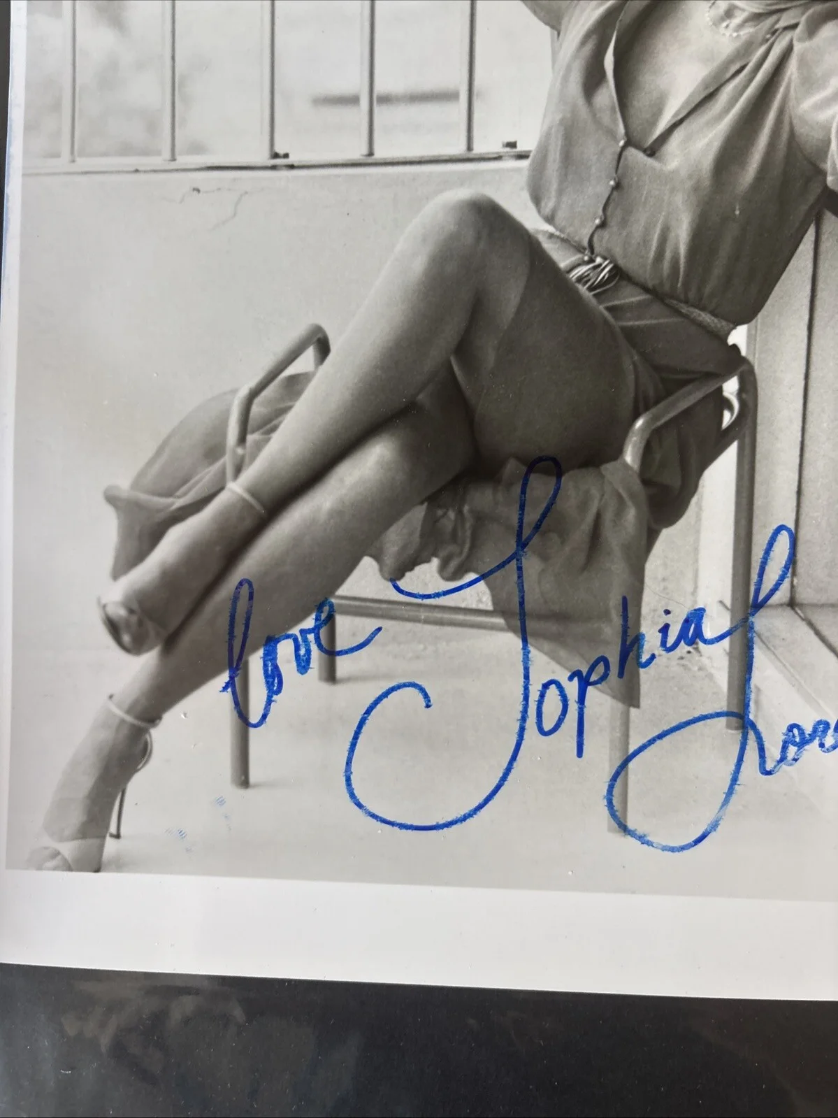SOPHIA LOREN Autographed signed 8x10 photo, изображение 5