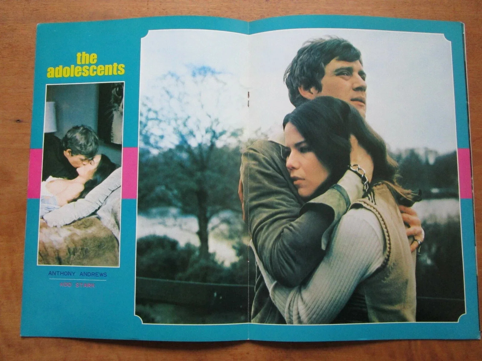 RARE "The Adolescents" Pedro Masó Anthony Andrews/KOO STARK JAPANESE, изображение 5