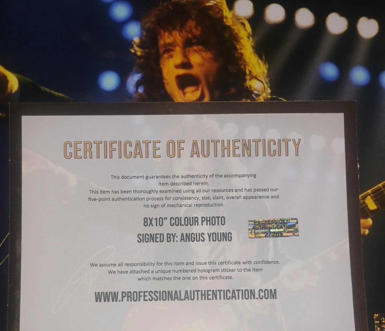 Angus Young Hand Signed 8x10 Photo COA - NO US TARIFFS, image 4