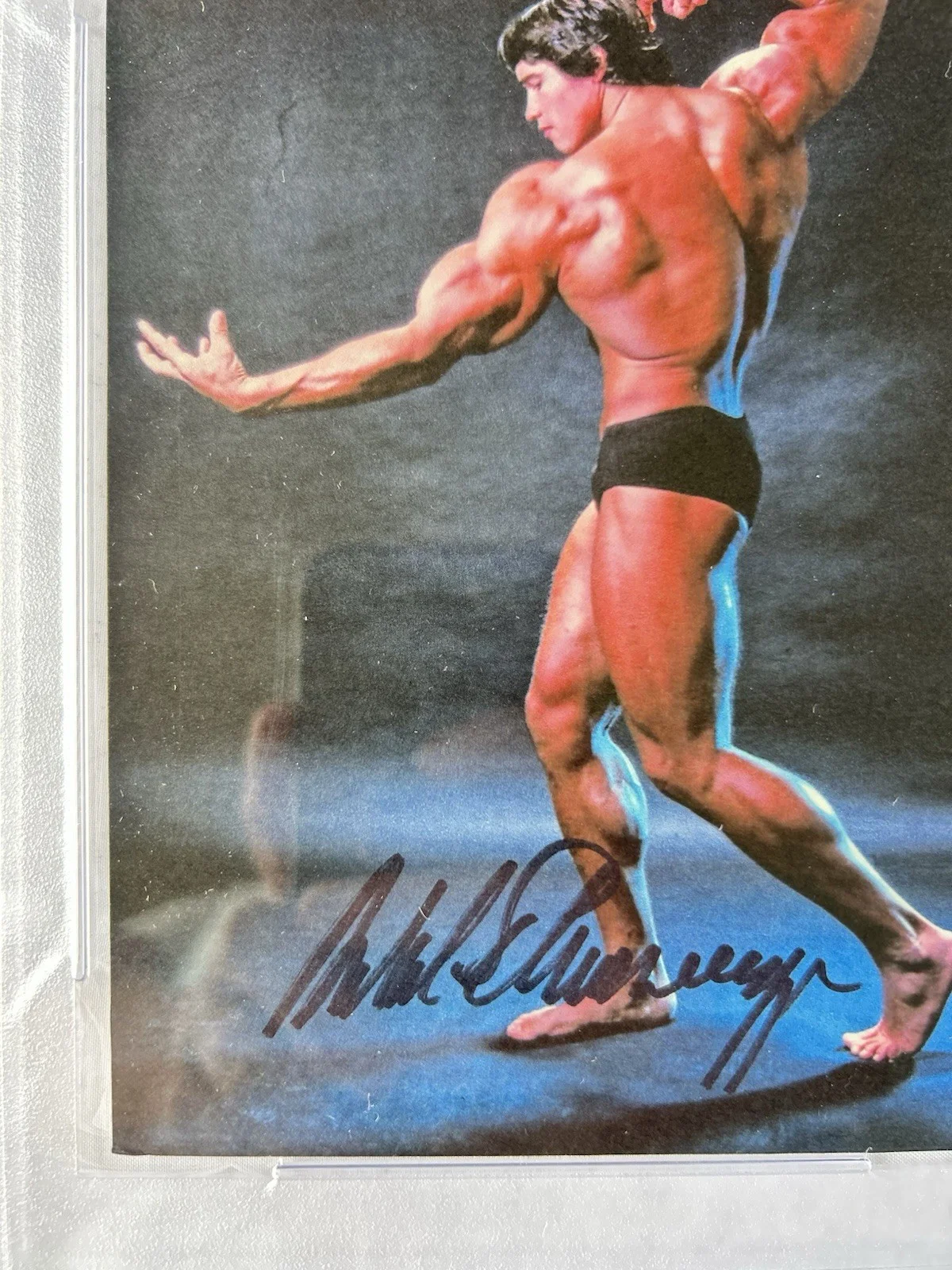 Arnold Schwarzenegger — Arnold Schwarzenegger Signed 5x7 Photo Print Body Building Pose PSA/DNA, image 2