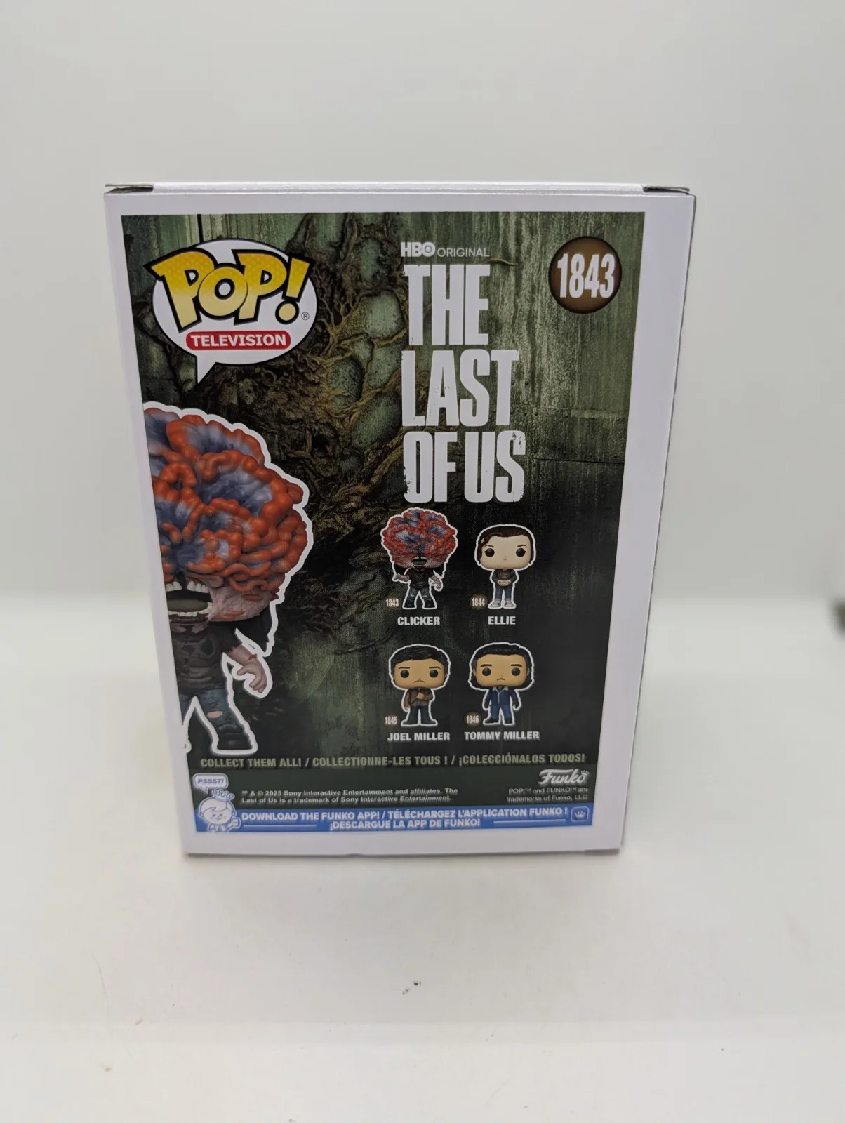 isabela merced — Isabela Merced Signed The Last Of Us Clicker Funko Pop #1843 SWAU, изображение 3