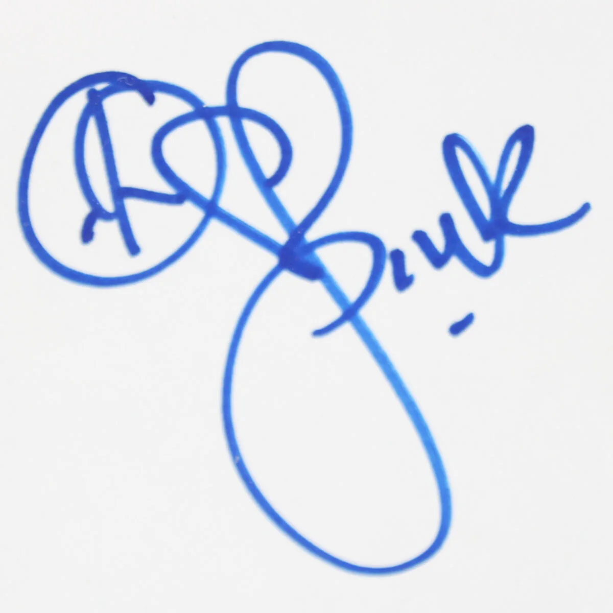 Pink Signed Photo Plexsie Glass Display 18x27 - COA JSA, image 2