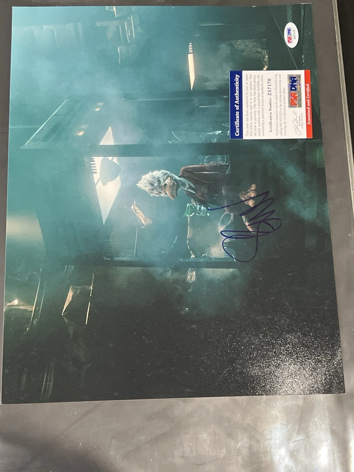 Seth Green — Seth Green Signed Howard the Duck 11x14 Photo PSA DNA COA Marvel GOTG