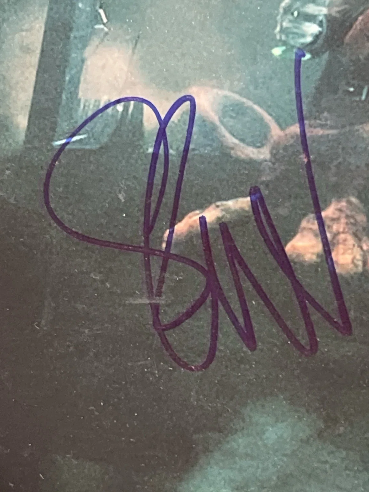 Seth Green — Seth Green Signed Howard the Duck 11x14 Photo PSA DNA COA Marvel GOTG, изображение 3