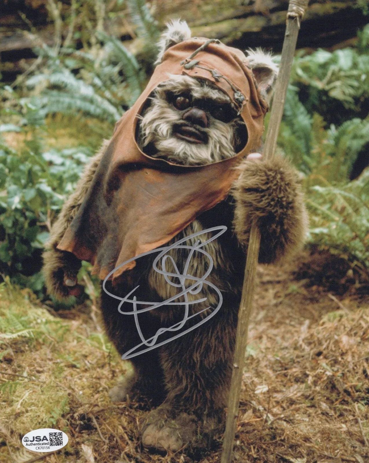 Warwick Davis — Star Wars - Warwick Davis signed Wicket 8x10 photo JSA COA