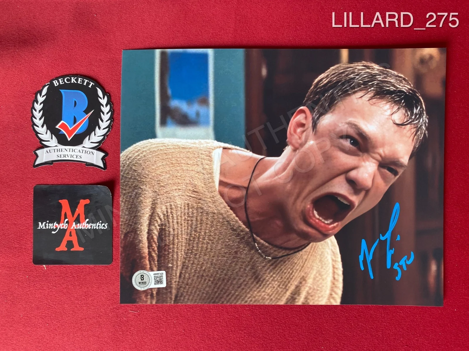 Matthew Lillard — Matthew Lillard autographed signed 8x10 photo Scream Beckett Stu Macher