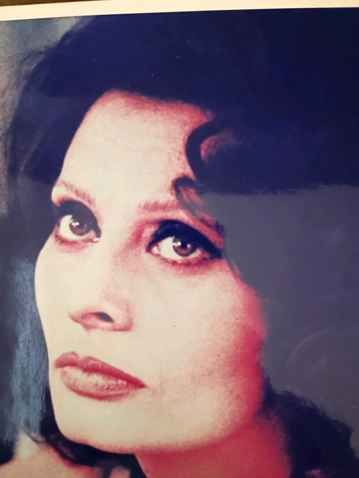 Sophia Loren — Sophia Loren Signed Autographed Actress Hollywood 8 x 10 Photo - JSA, изображение 2