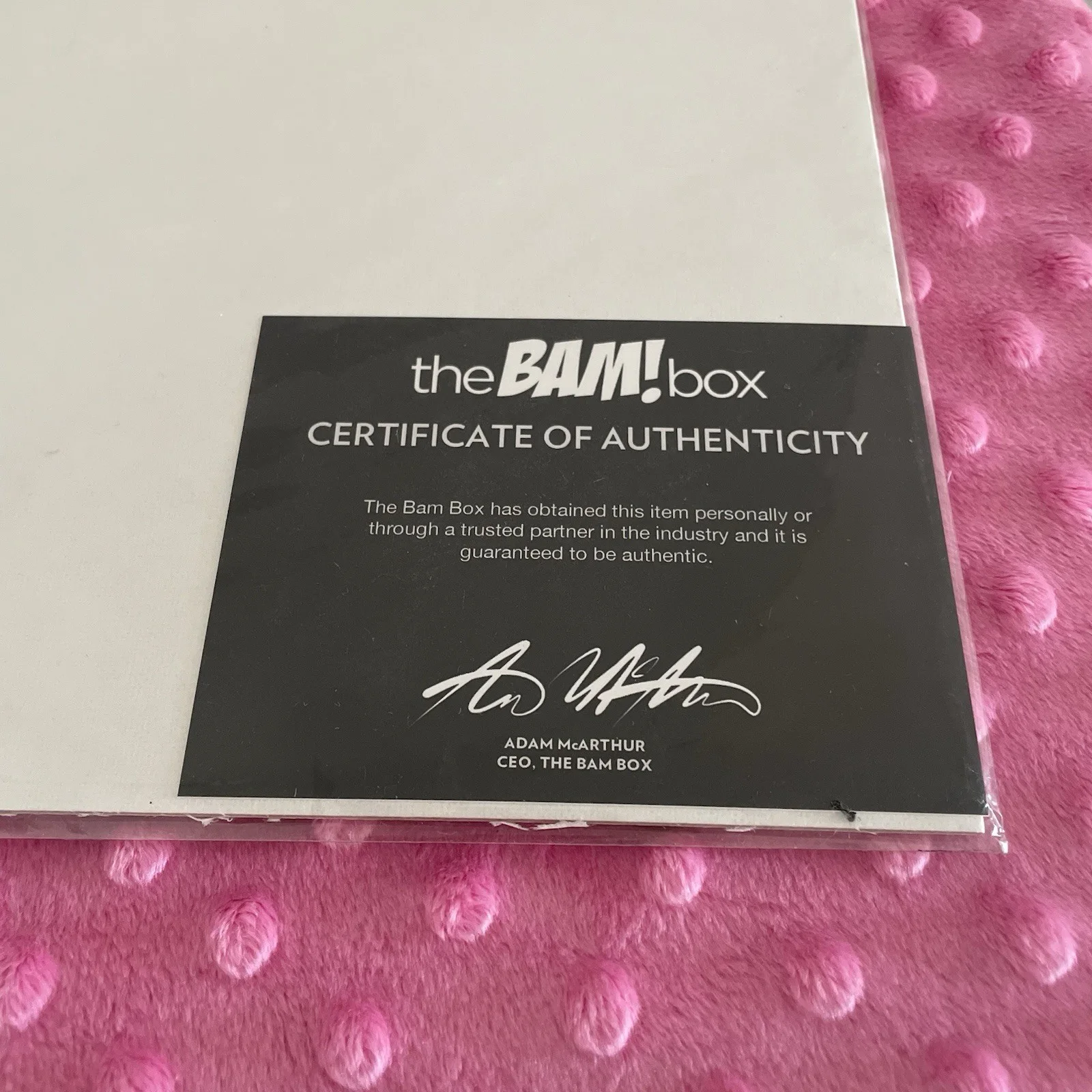 Cindy Morgan — Cindy Morgan Signed Original Photo BAM! Box Authenticated, image 2