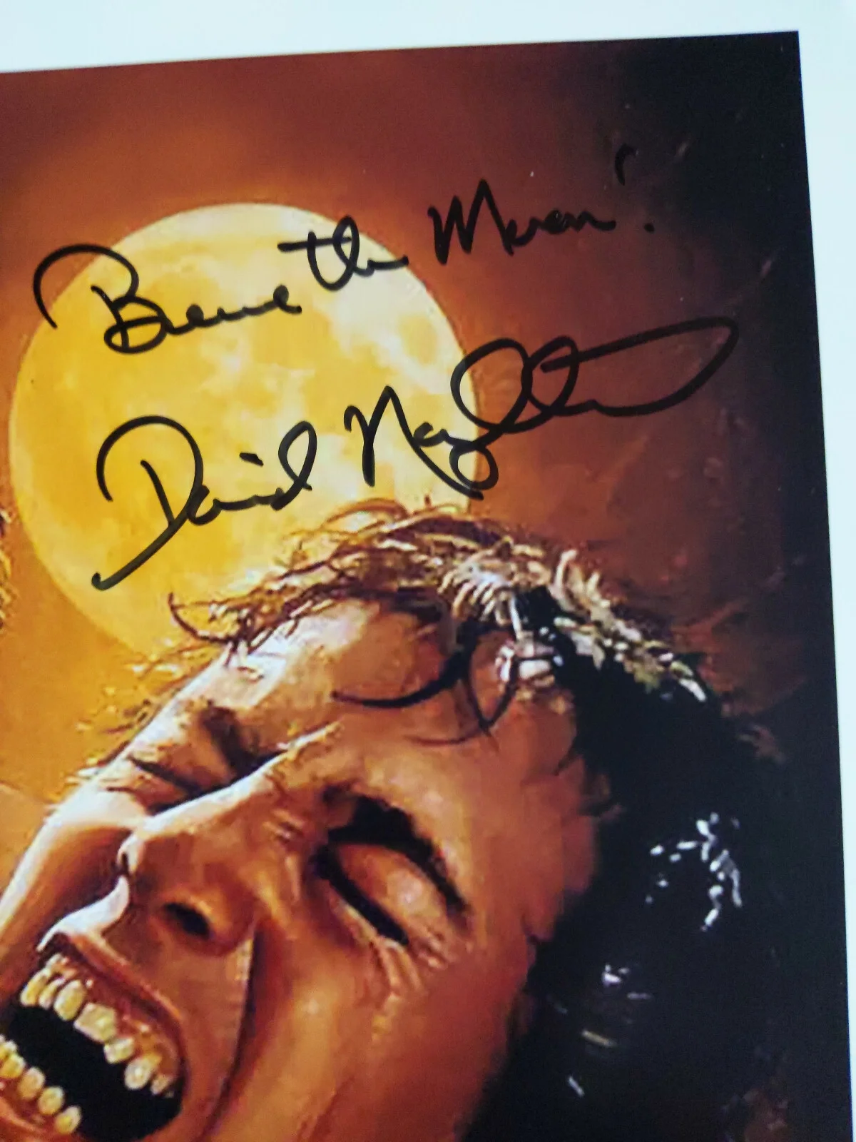 David Naughton — David NAUGHTON Signed American Werewolf in London 11x17 Movie Poster BAS JSA A, изображение 2