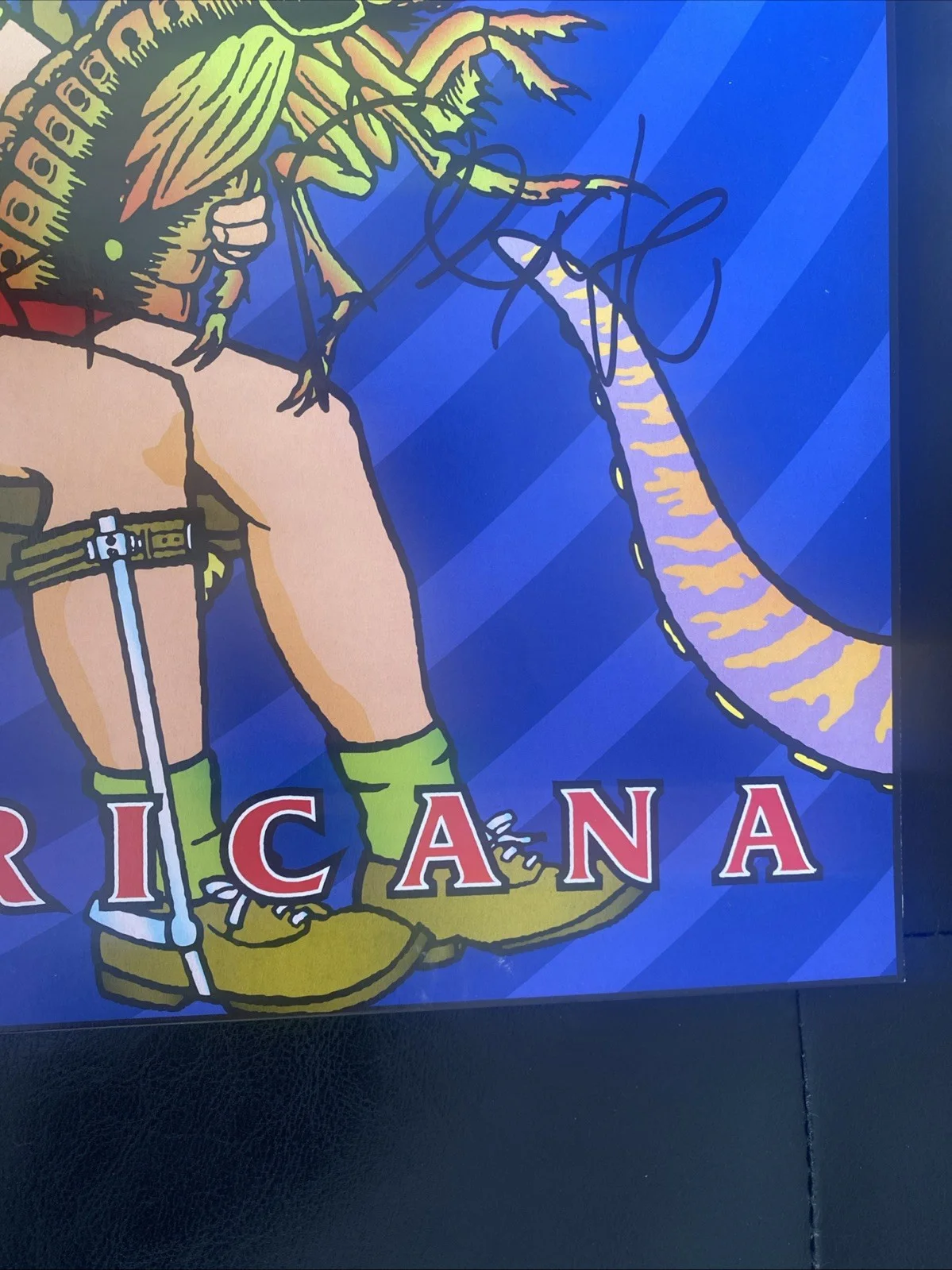 The Offspring Americana Signed Vinyl (noodles & Dexter), изображение 4