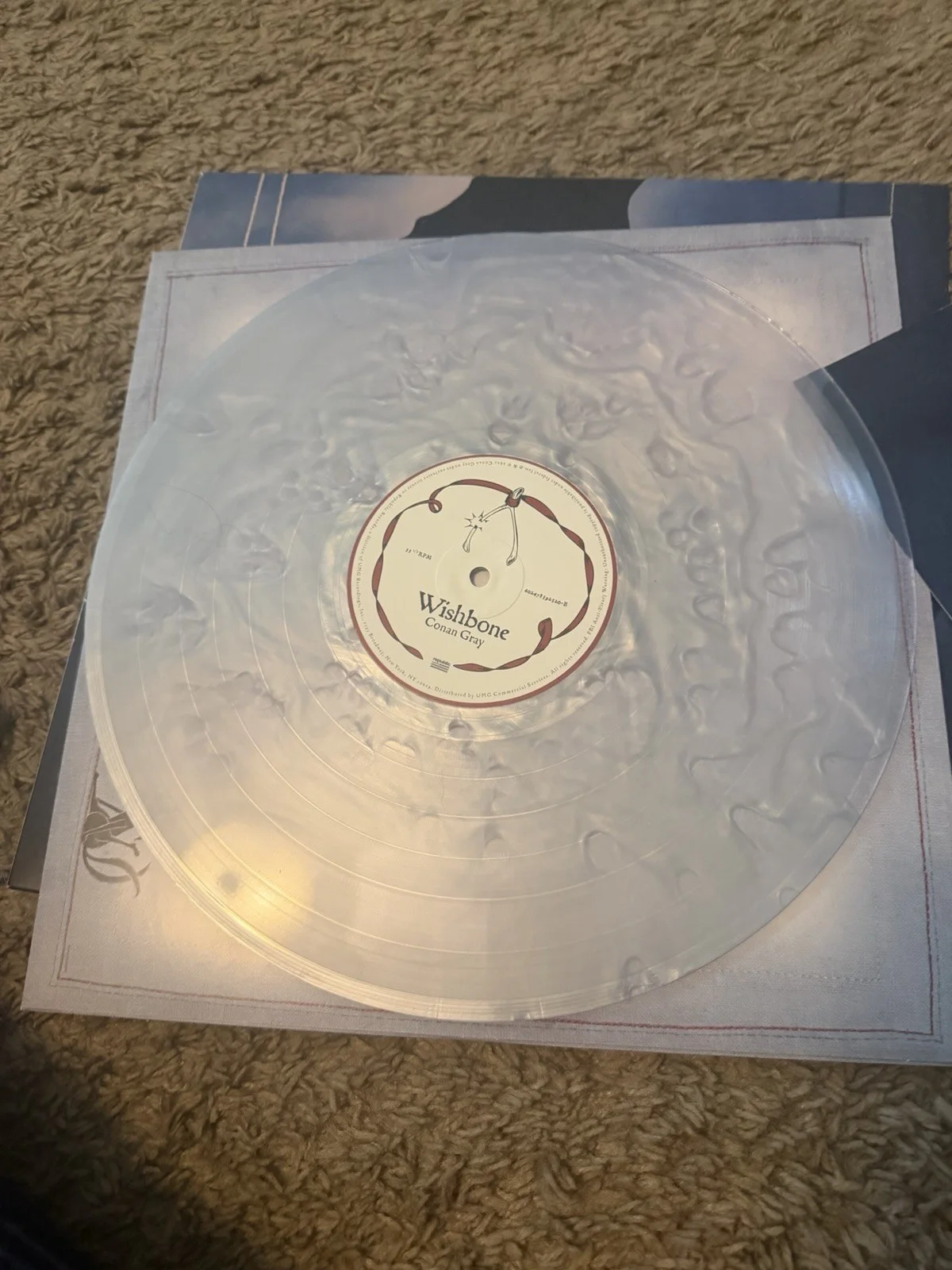 conan gray wishbone signed vinyl, image 3
