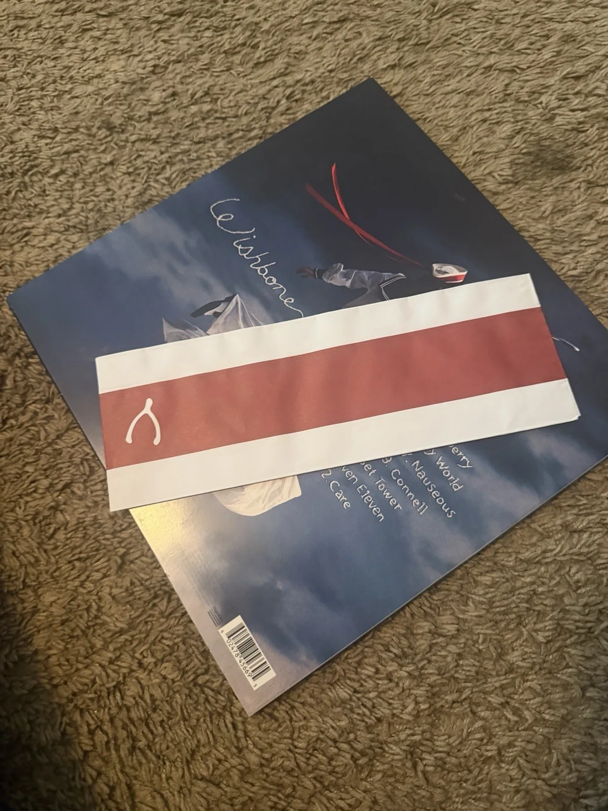conan gray wishbone signed vinyl, image 4