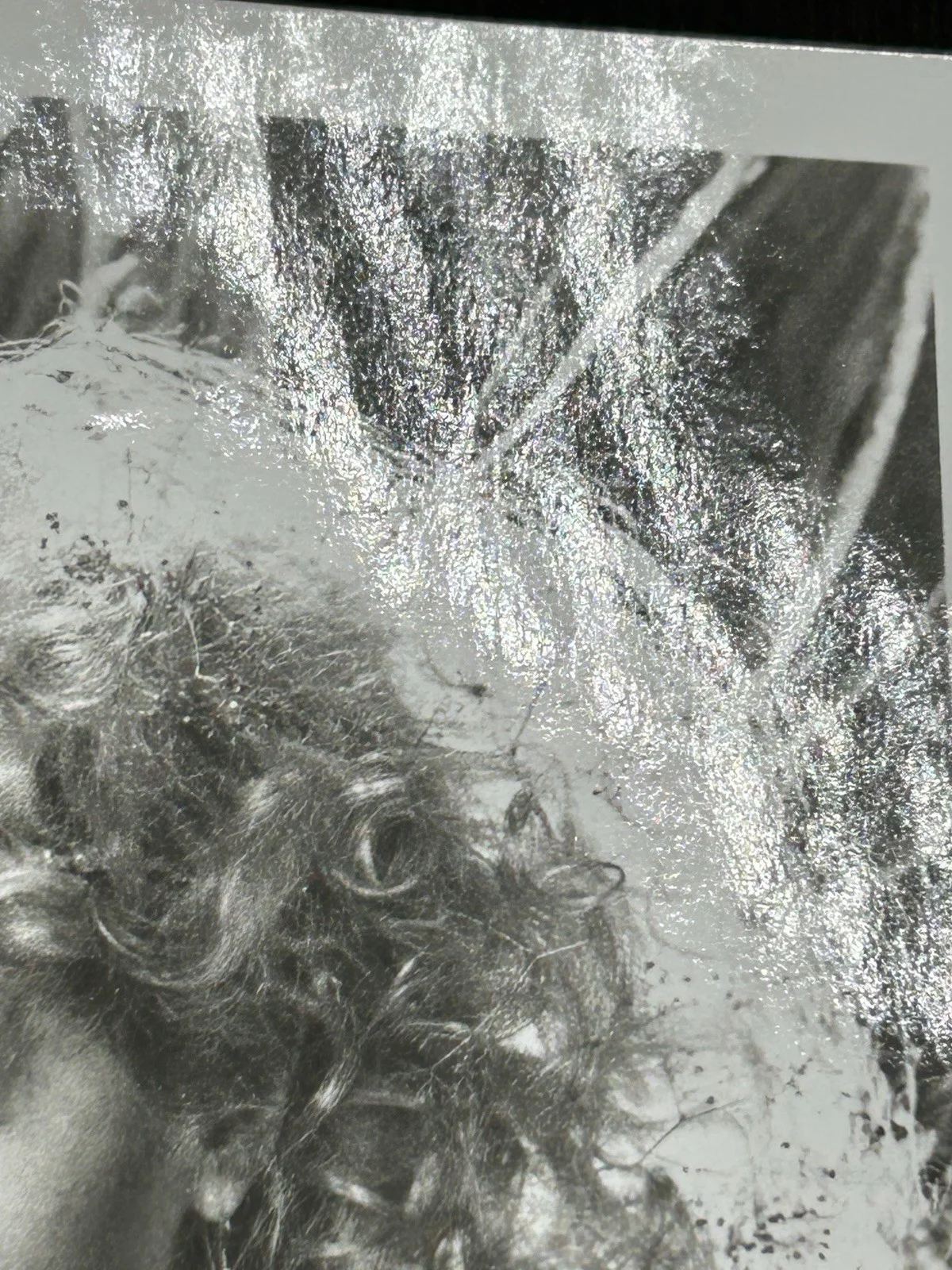 Carol Kane — CAROL KANE ORIGINAL HAND SIGNED "SCROOGED" 1988 PHOTO Autograph JSA COA Actress, image 5