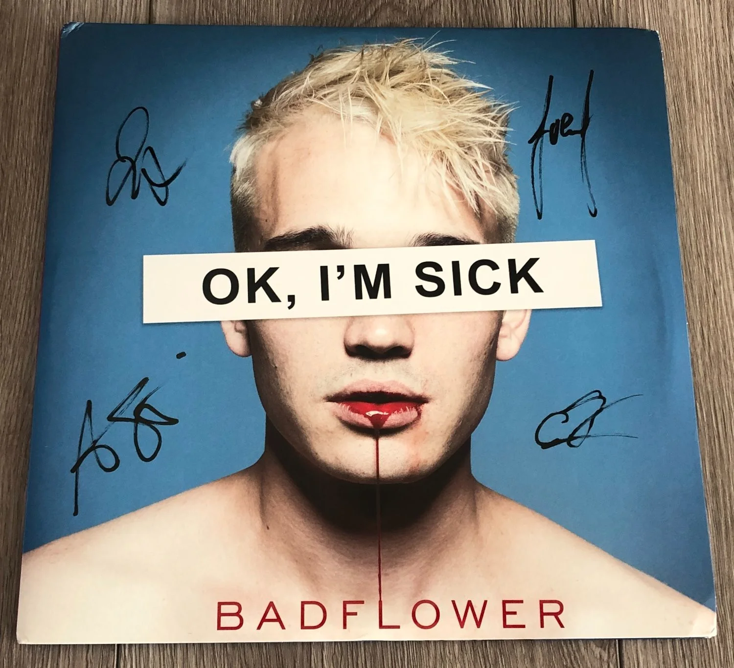 BADFLOWER JOSH KATZ +3 SIGNED AUTOGRAPH OK I'M SICK VINYL RECORD w/EXACT PROOF, изображение 2