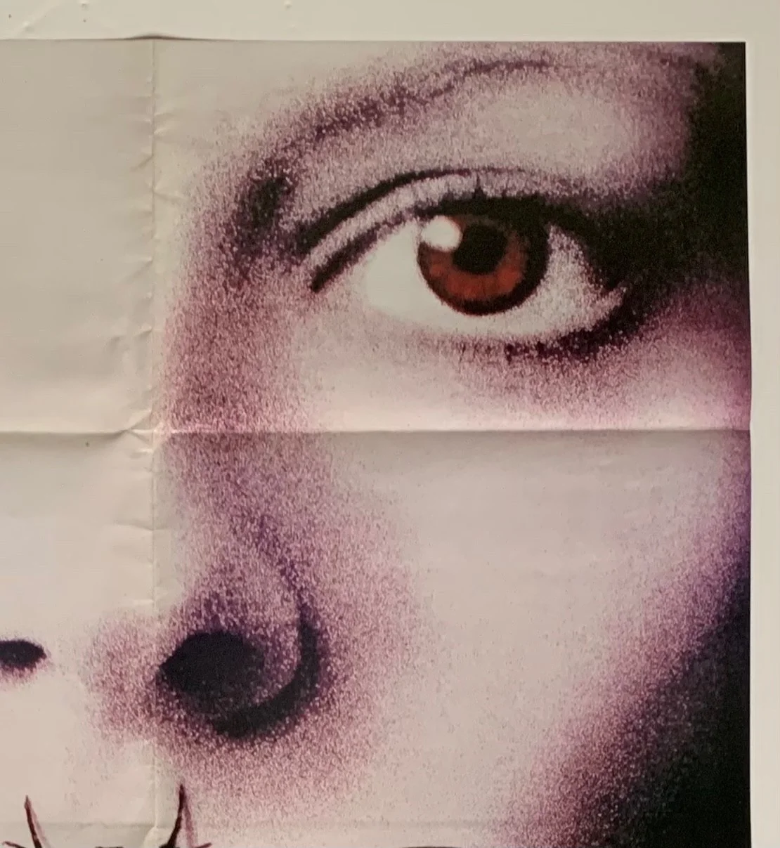 VINTAGE POSTER SILENCE OF THE LAMBS + GODZILLA DOUBLE SIDED FILM POSTER 1990’S, изображение 5