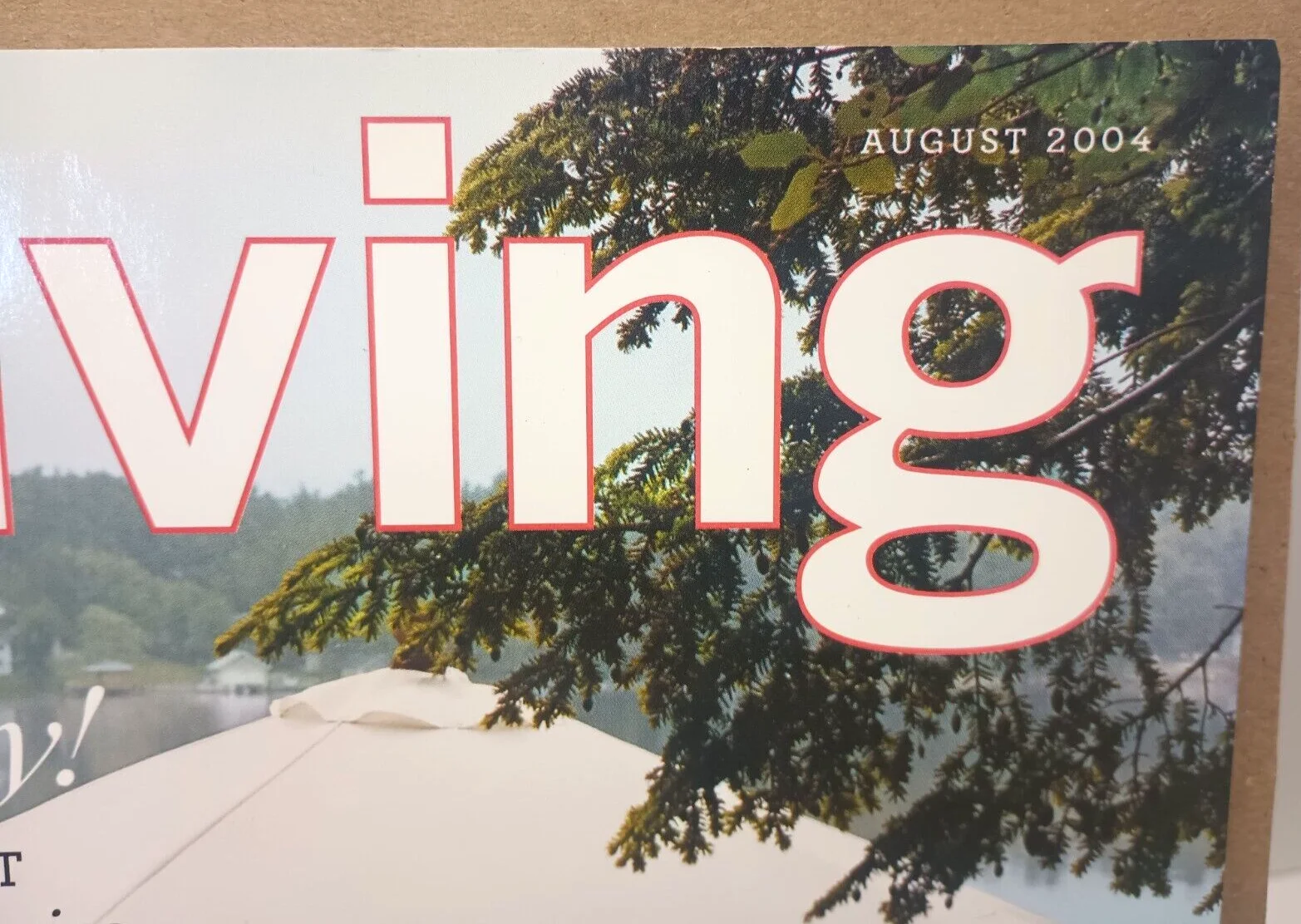 Martha Stewart — VTG Martha Stewart Living Magazine AUGUST 2004 Summer Cookouts - Cooling Drinks!, изображение 3