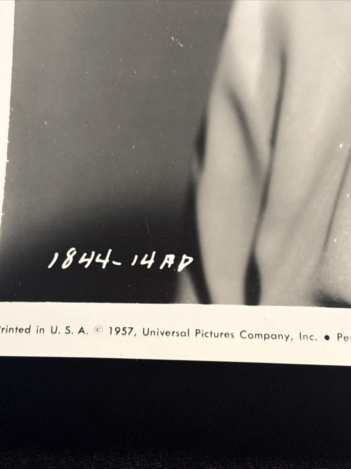 Jane Greer Signed 8x10 Photo Autograph IAA COA Out of the Past Film Noir, изображение 3