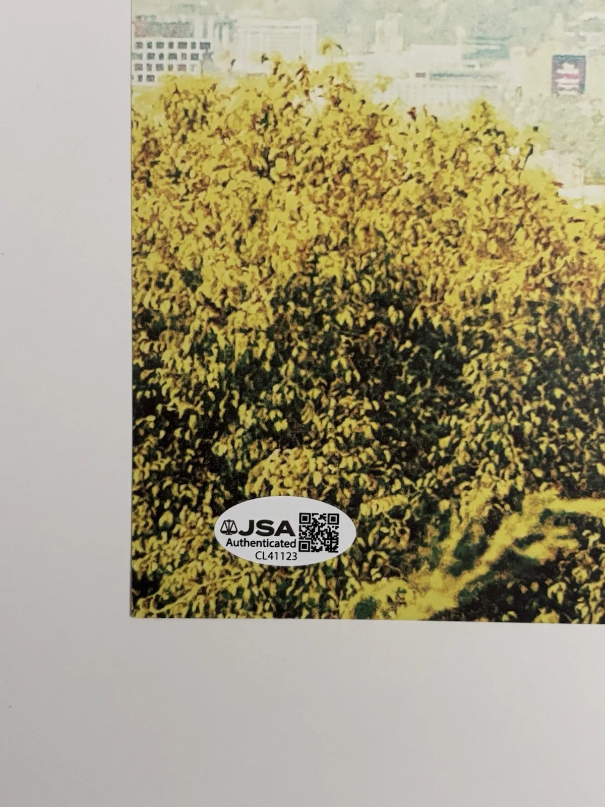 Dogstar Somewhere Between the Palm Trees and Powerlines LP + Photo Signed JSA, изображение 2