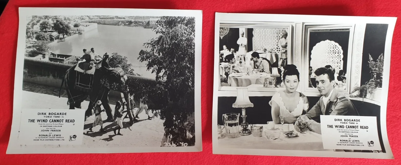Original British FOH Still Full Set of 8 The Wind Cannot Read 1958 Dirk Bogarde, image 4