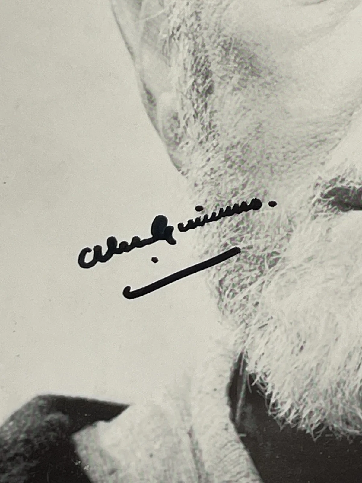 Sir Alec Guiness — Alec Guinness Signed 8x10 B&W Photo As Obi Wan Kenobi Star Wars, image 2