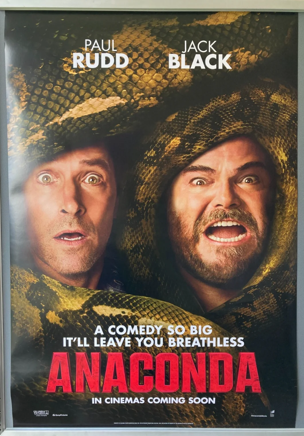 Cinema Poster: ANACONDA 2026 (Snakes One Sheet) Jack Black Paul Rudd Steve Zahn, изображение 2