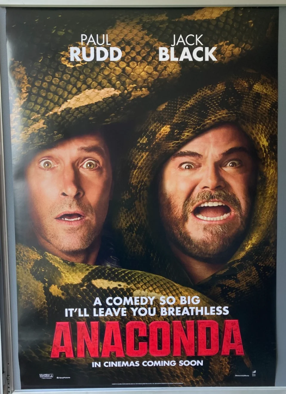 Cinema Poster: ANACONDA 2026 (Snakes One Sheet) Jack Black Paul Rudd Steve Zahn, изображение 3