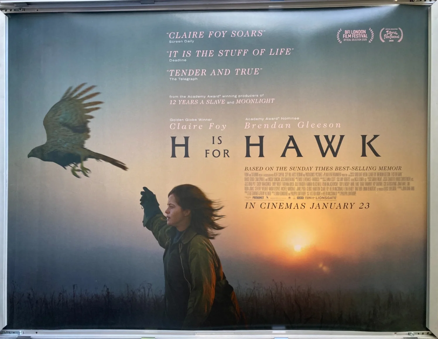 Cinema Poster: H IS FOR HAWK 2026 (Quad) Claire Foy Brendan Gleeson Denise Gough, изображение 2