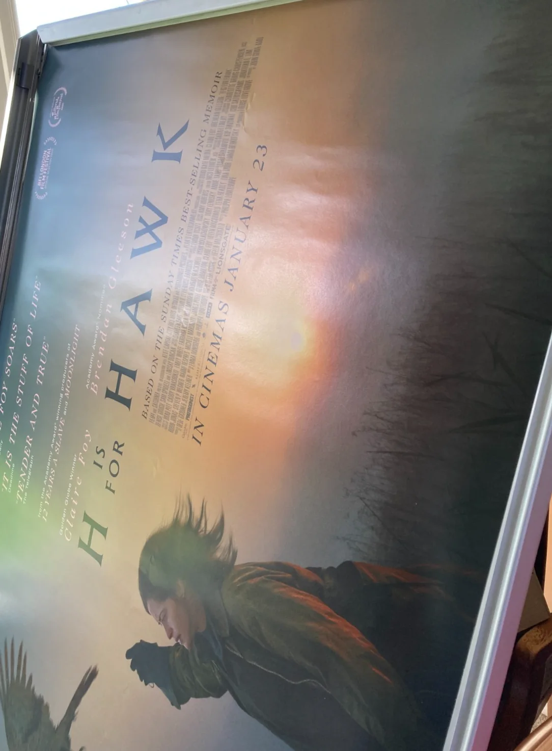 Cinema Poster: H IS FOR HAWK 2026 (Quad) Claire Foy Brendan Gleeson Denise Gough, изображение 3