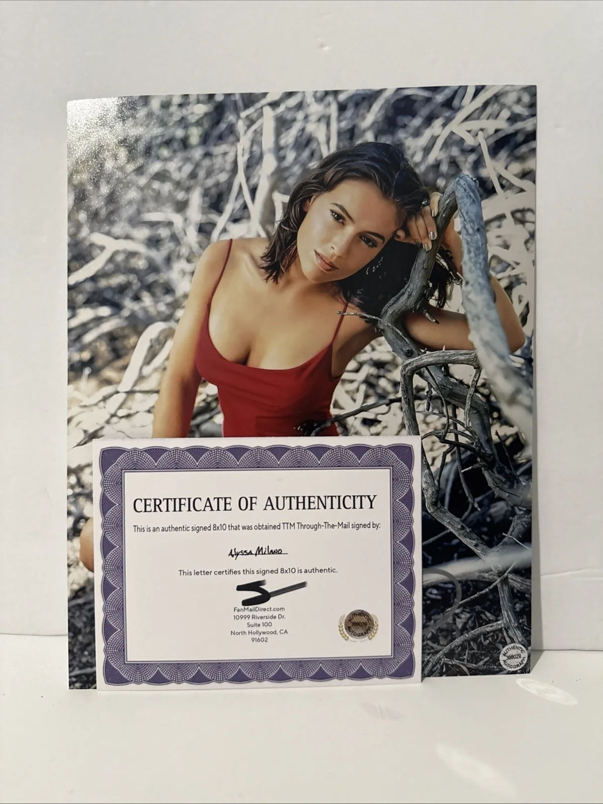 Alyssa Milano (actress) signed Autographed 8x10 photo - AUTO COA, изображение 2