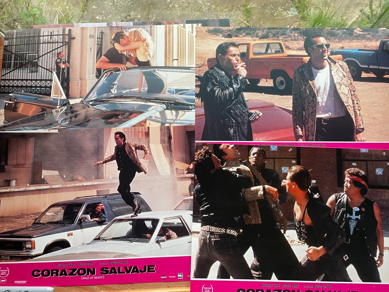 Wild at Heart Spanish 1990 12 LOBBY CARD SET David Lynch Nicolas Cage 13x9" RARE, image 5