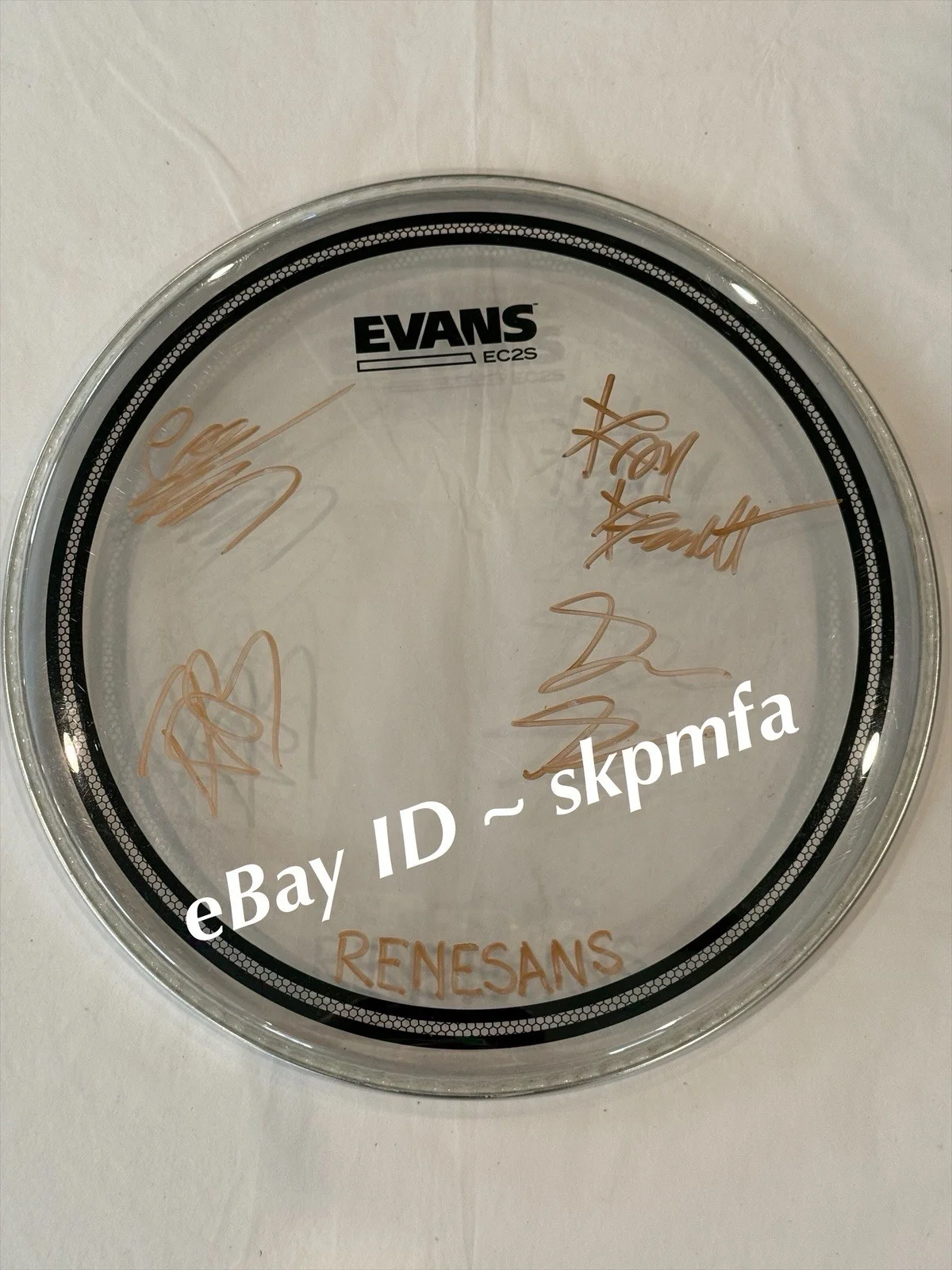 RENESANS Drumhead SIGNED 13" 2025 Black Sheep 💯 OFFICIAL MERCH, image 2