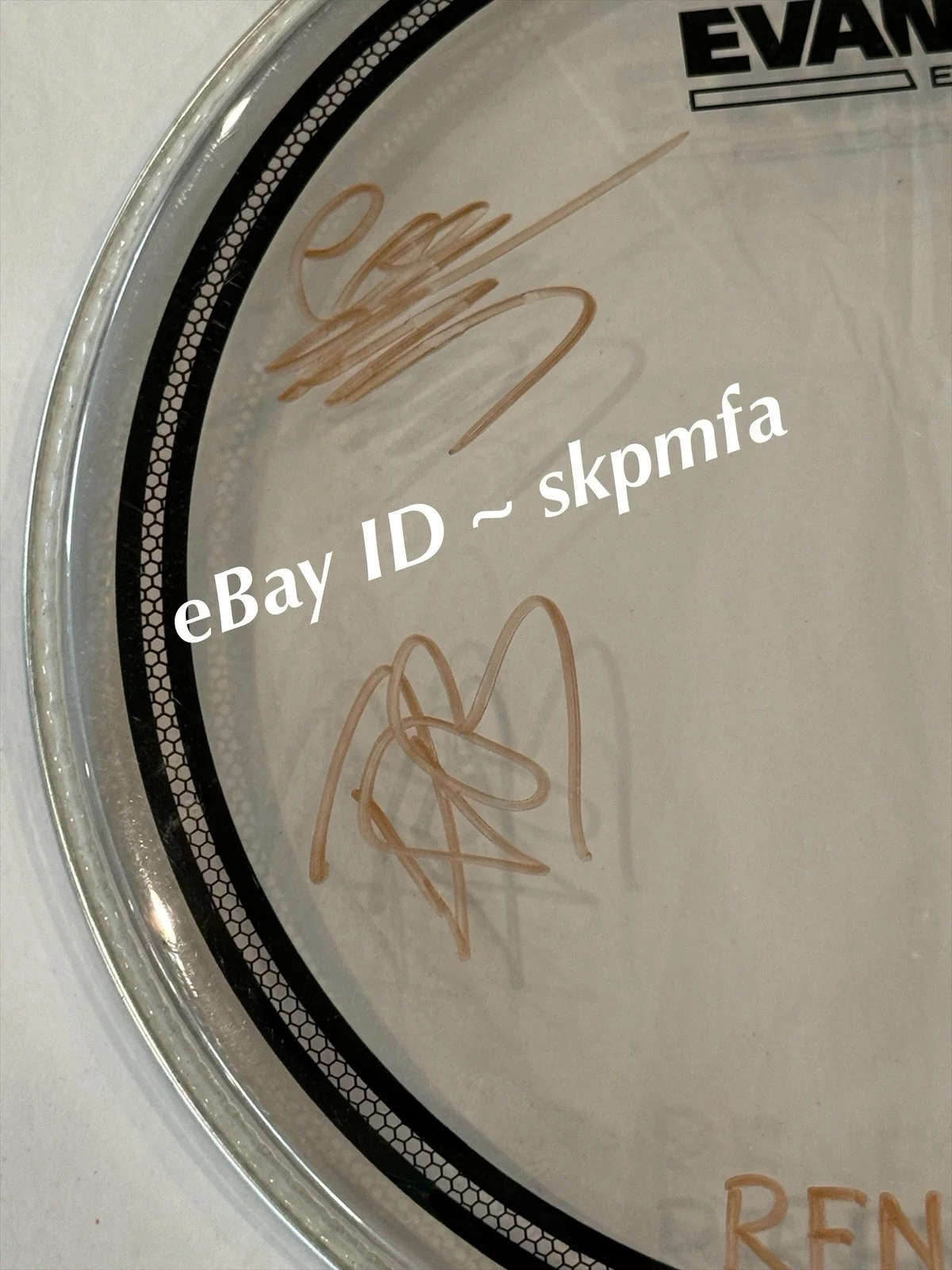 RENESANS Drumhead SIGNED 13" 2025 Black Sheep 💯 OFFICIAL MERCH, image 3