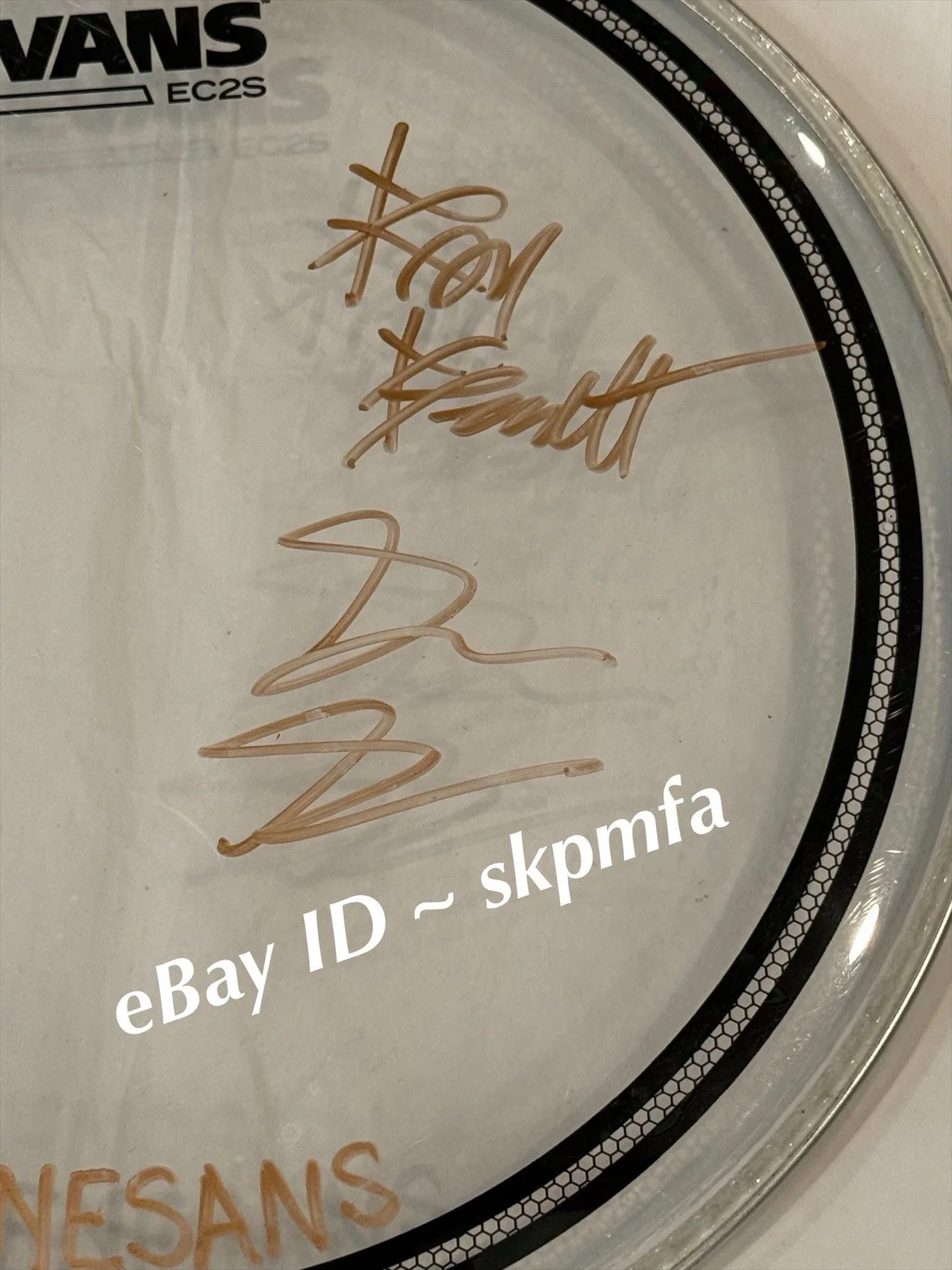 RENESANS Drumhead SIGNED 13" 2025 Black Sheep 💯 OFFICIAL MERCH, image 4