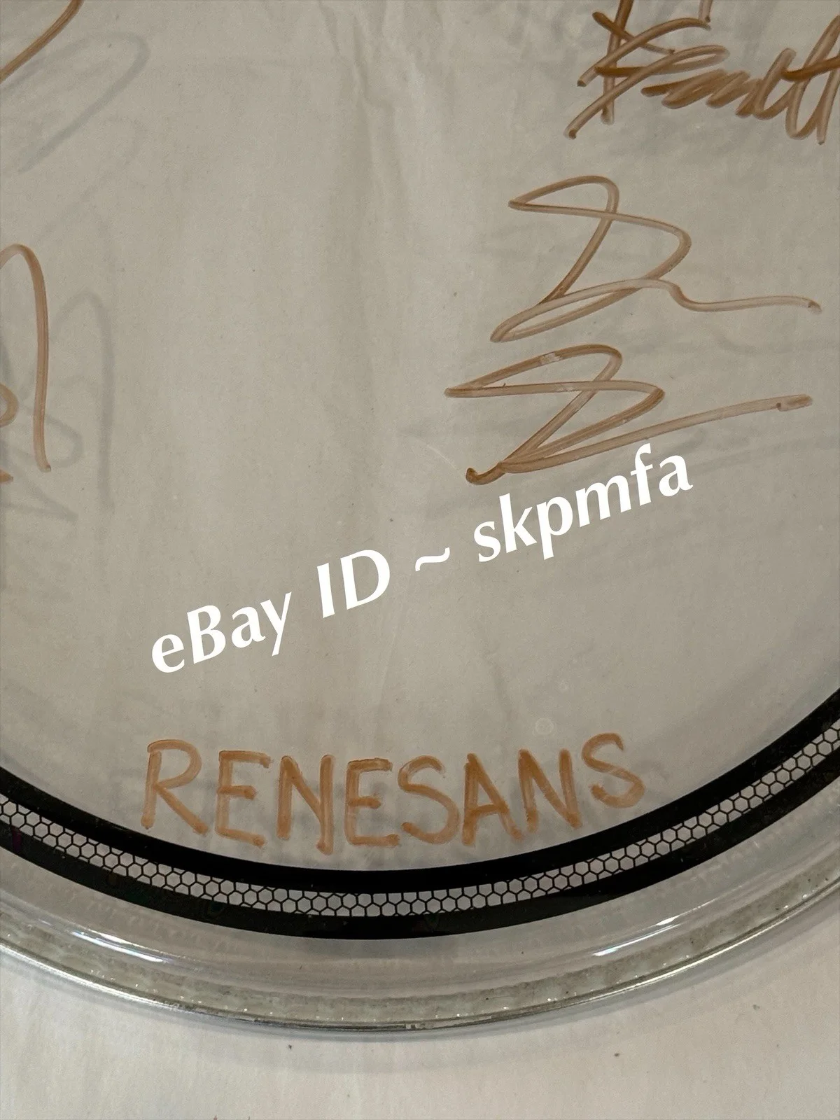 RENESANS Drumhead SIGNED 13" 2025 Black Sheep 💯 OFFICIAL MERCH, image 5