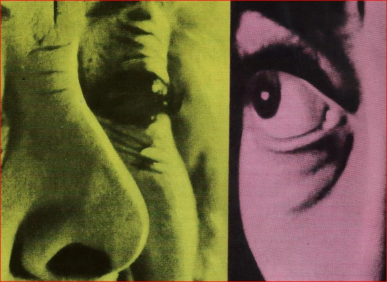 Whatever Happened To Baby Jane 1962 - Restored 27.2" x 41" US One Sheet Poster, image 4